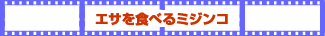 XWṼE`